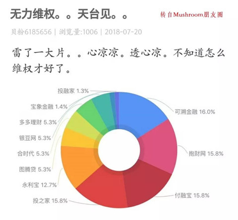 鹰鸽转换 #1890 05.jpg