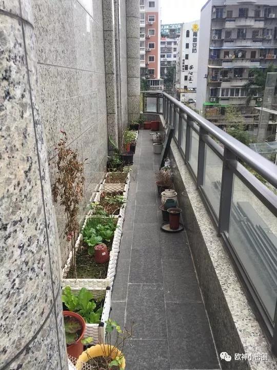 水库论坛|欧神文集|欧神小密圈|欧成效|房产投资官网
