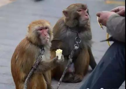 水库论坛|欧神文集|欧神小密圈|欧成效|房产投资官网