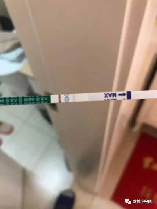 水库论坛
